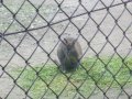 IMGP0873.JPG
